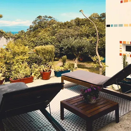 Quinta Das Almas Sao Roque do Pico Exterior photo