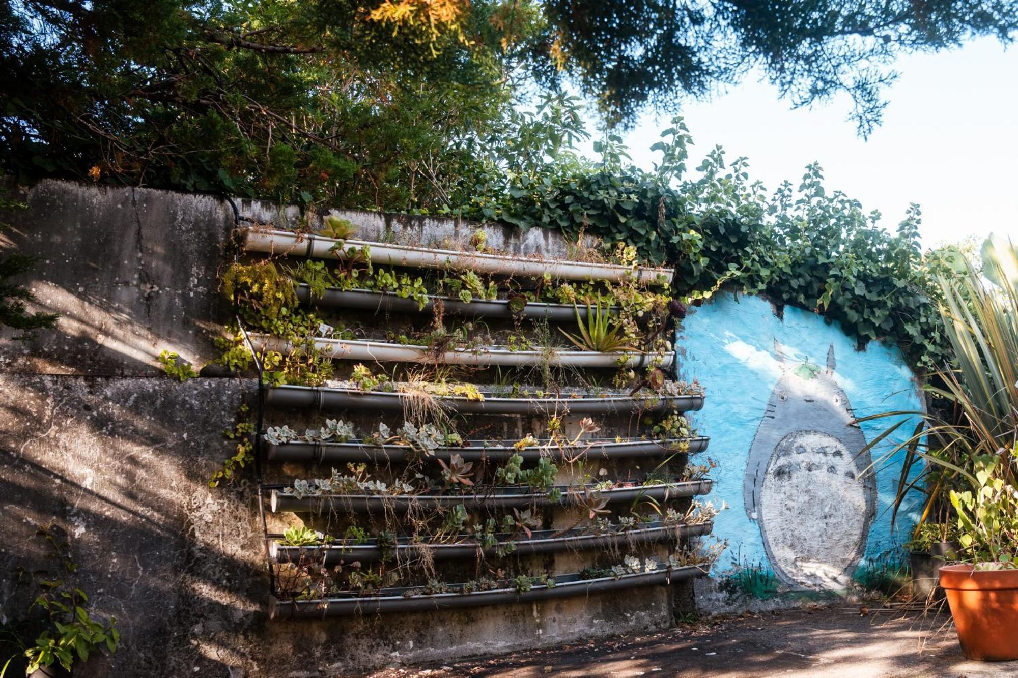 Quinta Almas